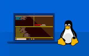 Lee más sobre el artículo Microsoft lanzará la función de poder visualizar los archivos de Linux desde Windows