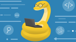 Lee más sobre el artículo Cupón Udemy: Curso en profundidad de Python para principiantes con 100% de descuento
