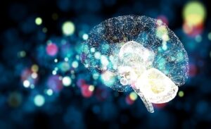 Lee más sobre el artículo Un algoritmo de Inteligencia Artificial ha logrado identificar oportunamente el Alzheimer