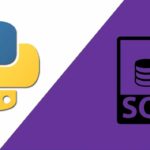Aprende a crear y manejar bases de datos (SQL) con Python a través de este curso gratuito