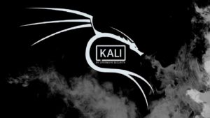 Lee más sobre el artículo Cupón Udemy: Curso completo sobre Kali Linux con 100% de descuento