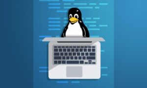 Lee más sobre el artículo Udemy Gratis: Curso intensivo de Linux para principiantes