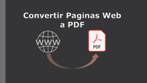 Lee más sobre el artículo De Página Web a Archivo PDF