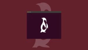 Lee más sobre el artículo Udemy Gratis: Curso de conceptos básicos de Linux para principiantes
