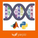 Udemy Gratis: Curso de algoritmos genéticos con Python y MATLAB