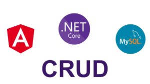 Lee más sobre el artículo Udemy Gratis: Curso en español para desarrollar un sistema CRUD con Angular, .NET Core y MySQL