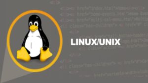 Lee más sobre el artículo Cupón Udemy: Curso de Linux/Unix para principiantes con 100% de descuento