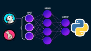 Lee más sobre el artículo Cupón Udemy: Curso de programación de redes neuronales artificiales usando Python desde cero con 100% de descuento