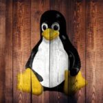Udemy Gratis: Curso en español de introducción a Linux