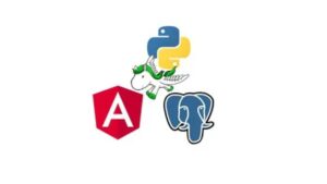 Lee más sobre el artículo Cupón Udemy: Curso de desarrollo full stack con Angular, Python y MongoDB con 100% de descuento