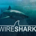 Udemy Gratis: Curso básico en español de Wireshark (ARP)