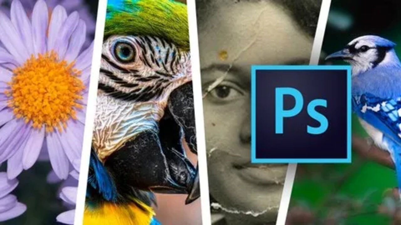 Udemy Gratis: Curso en español de Adobe Photoshop para principiantes (2 cursos)