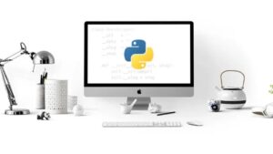 Lee más sobre el artículo Cupón Udemy: Curso de Python para principiantes en profundidad con 100% de descuento