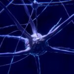 Introducción a la Neurocomputación – Libro Gratis