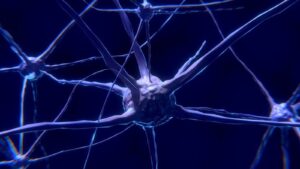 Lee más sobre el artículo Introducción a la Neurocomputación – Libro Gratis