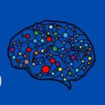 Cupón Udemy: Curso de redes neuronales en Python con 100% de descuento
