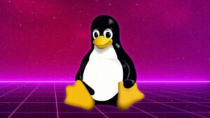 Lee más sobre el artículo Cupón Udemy: Curso de Linux para principiantes absolutos con 100% de descuento