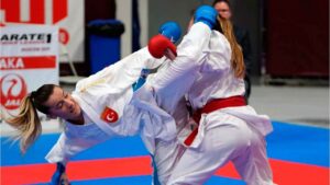 Lee más sobre el artículo Udemy Gratis: Curso de Karate en línea (3 cursos en 1)