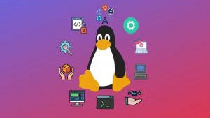 Lee más sobre el artículo 5 razones para usar Linux