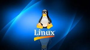 Lee más sobre el artículo Udemy Gratis: Curso de Linux desde lo básico hasta lo avanzado
