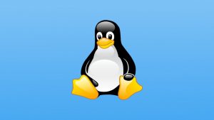 Lee más sobre el artículo Udemy Gratis: Curso en español de Introducción a Linux