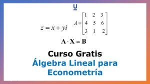 Lee más sobre el artículo Curso Gratis de Álgebra Lineal para Econometría