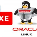Udemy Gratis: Instalación base de datos Oracle XE 11g en Oracle Linux 7