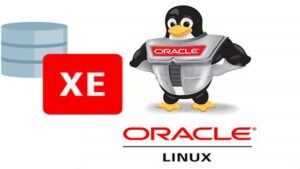Lee más sobre el artículo Udemy Gratis: Instalación base de datos Oracle XE 11g en Oracle Linux 7