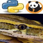 Cupón Udemy: Bootcamp de Python para ciencia de datos 2021 Numpy Pandas y Seaborn con 100% de descuento por tiempo LIMITADO