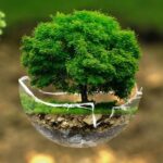 Cupón Udemy: Medio ambiente y ética | un curso básico con 100% de descuento por tiempo LIMITADO