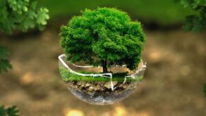 Lee más sobre el artículo Cupón Udemy: Medio ambiente y ética | un curso básico con 100% de descuento por tiempo LIMITADO