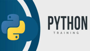 Lee más sobre el artículo Estos son los cursos gratis que ofrece el Instituto Python y te preparan para futuras certificaciones