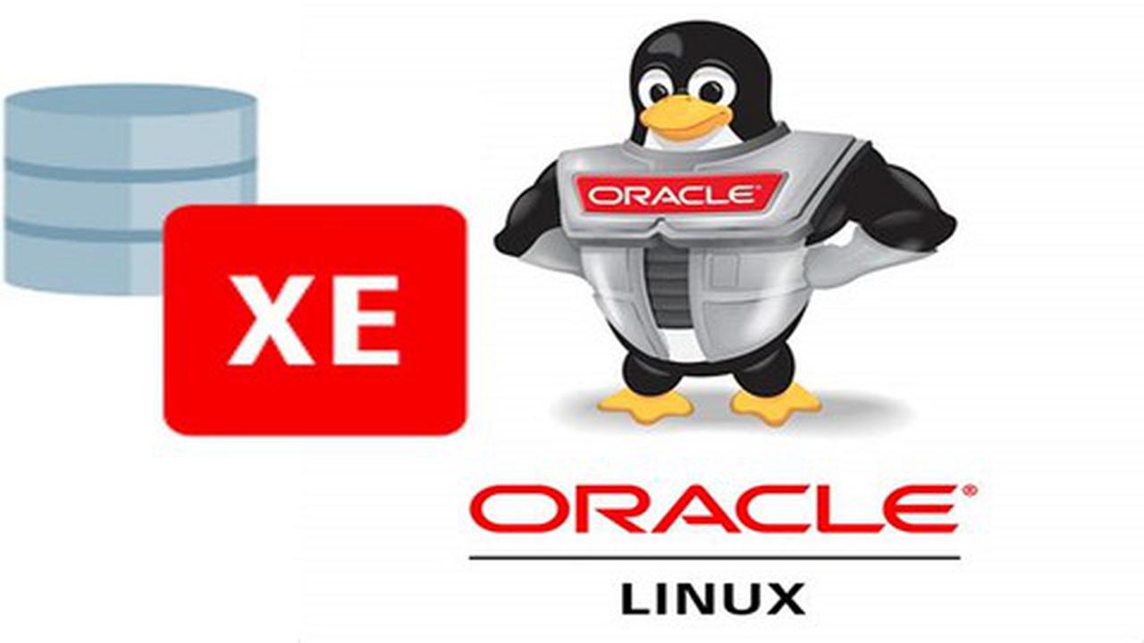 Udemy Gratis en español: Instalación base de datos Oracle XE 11g en Oracle Linux 7