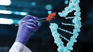 Lee más sobre el artículo Cupón Udemy: Conceptos básicos de CRISPR Cas9, la tecnología suprema de edición de genes con 100% de descuento por tiempo LIMITADO