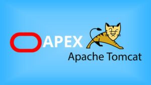 Lee más sobre el artículo Cupón Udemy: Introducción a Apache Tomcat – Implementación de Oracle APEX (2022) con 100% de descuento por tiempo LIMITADO