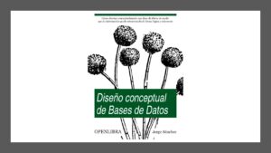 Lee más sobre el artículo Libro de Diseño Conceptual de Bases de Datos Gratis