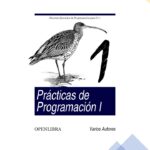 Libro de Prácticas de Programación Gratis