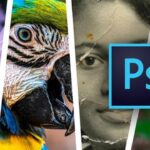 Udemy Gratis en español: Adobe Photoshop para principiantes – Primera parte