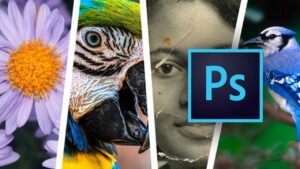 Lee más sobre el artículo Udemy Gratis en español: Adobe Photoshop para principiantes – Primera parte