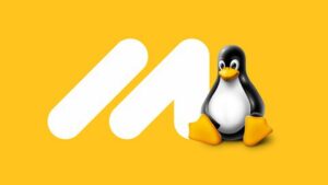 Lee más sobre el artículo Cupón Udemy: Guía definitiva de Linux con preparación para entrevistas con 100% de descuento por tiempo LIMITADO