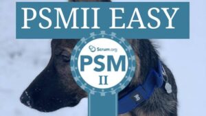 Lee más sobre el artículo Udemy Gratis: Profesional Scrum Master II (PSMII) Fácil