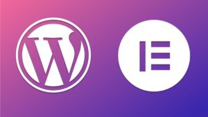 Lee más sobre el artículo Cupón Udemy: Creación de un sitio web en 1 hora | WordPress, Elementor y UX con 100% de descuento por tiempo LIMITADO