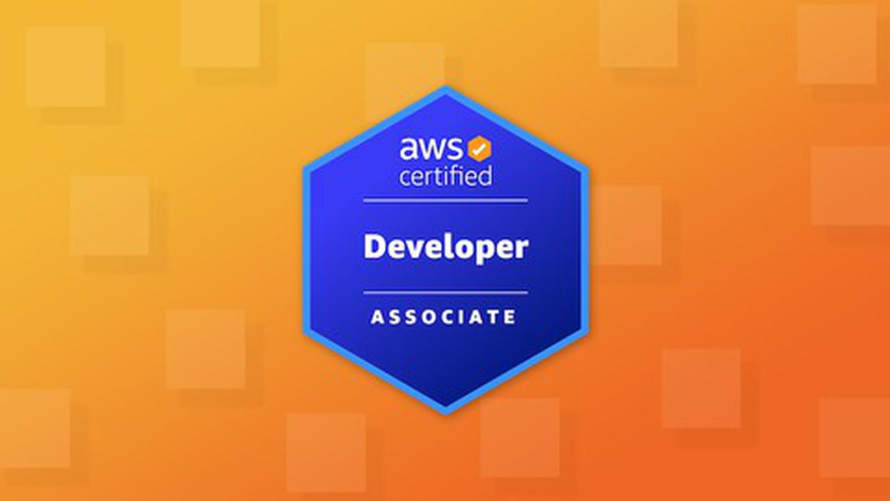 cup-n-udemy-aws-certified-developer-associate-practice-exams-2022-con