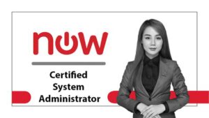 Lee más sobre el artículo Cupón Udemy en español: ServiceNow Certified System Administrator (CSA) Practice-New con 100% de descuento por tiempo LIMITADO