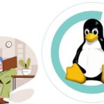 Udemy Gratis: Linux Essential para DevOps – Científico de datos – Desarrollo