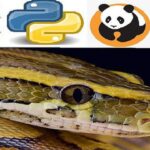Cupón Udemy: 2022 Bootcamp de Python para ciencia de datos Numpy Pandas y Seaborn con 100% de descuento por tiempo LIMITADO