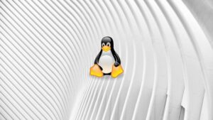 Lee más sobre el artículo Cupón Udemy: Linux para ingenieros de datos (práctica) con 100% de descuento por tiempo LIMITADO