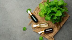 Lee más sobre el artículo Cupón Udemy: Aromaterapia | curso completo para principiantes de aceites esenciales con 100% de descuento por tiempo LIMITADO