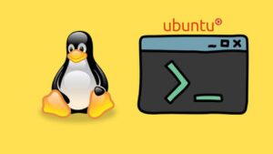 Lee más sobre el artículo Cupón Udemy: Línea de comandos de Linux | Utilidades para principiantes [Prueba de práctica] con 100% de descuento por tiempo LIMITADO