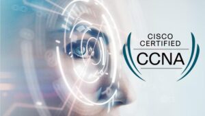 Lee más sobre el artículo Cupón Udemy: Cisco CCNA 200-301 Certification Exam Simulator 2022 con 100% de descuento por tiempo LIMITADO